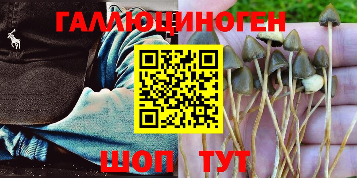 Мурманск  купить наркотики цена  Вход с VPN  Псилоцибиновые грибы MAGIC MUSHROOMS 